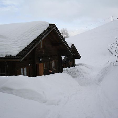 Ferienwohnungen Im Blockhaus Metzler Schwarzenberg im Bregenzerwald Extérieur photo