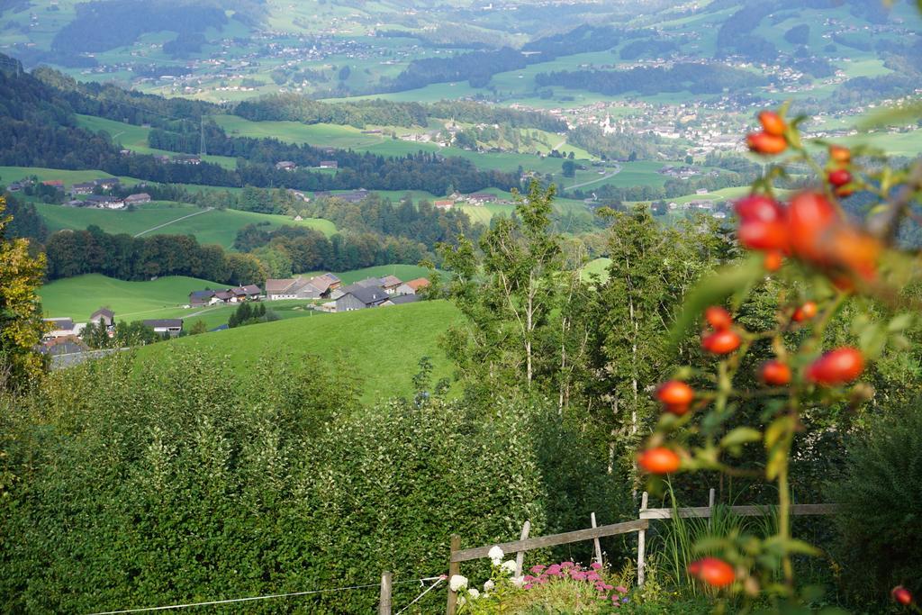 Ferienwohnungen Im Blockhaus Metzler Schwarzenberg im Bregenzerwald Extérieur photo