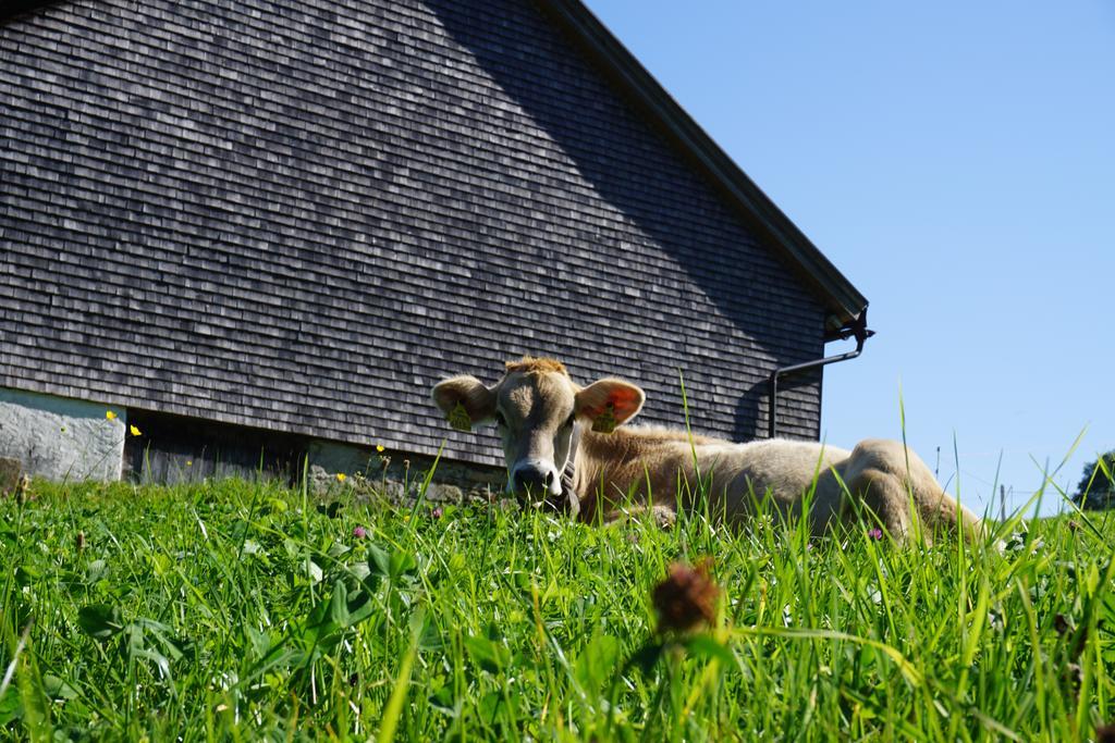 Ferienwohnungen Im Blockhaus Metzler Schwarzenberg im Bregenzerwald Extérieur photo